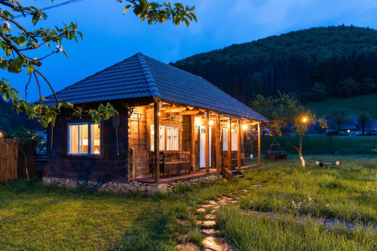 Gospodaria Lui Nea Ion 바마 부저울루이 외부 사진